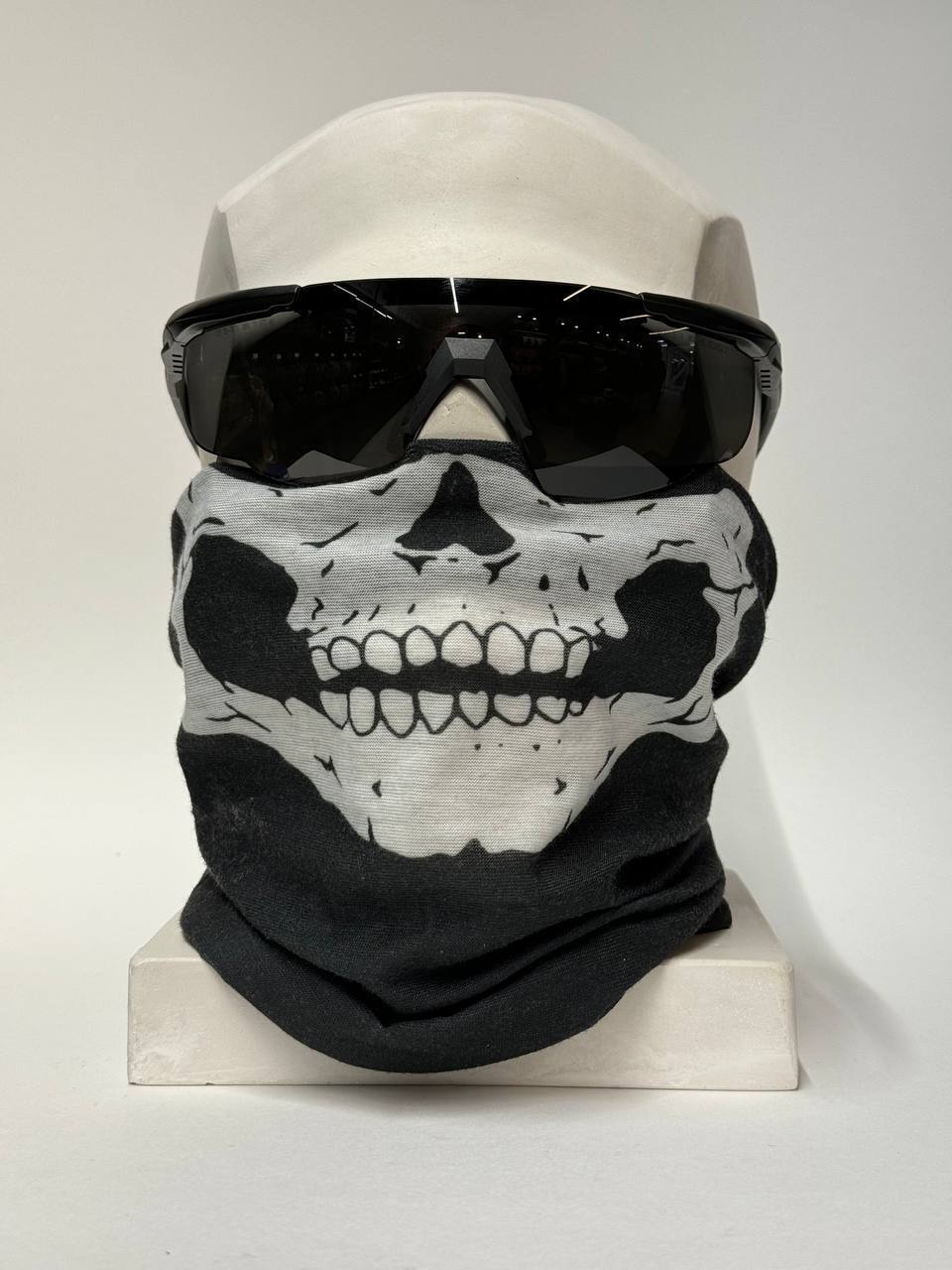 Очки защитные Wiley X Saber Advanced (Frame: Matte Black, Lens: Clear + Grey) купить